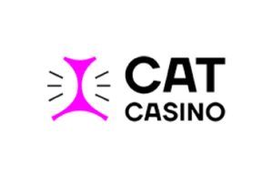 Обзор украинского онлайн казино: Cat Casino
