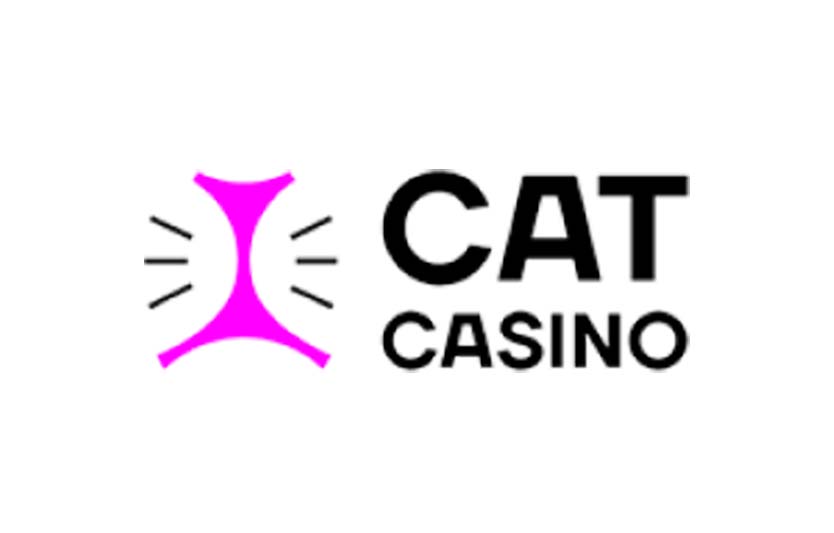 Обзор украинского онлайн казино: Cat Casino